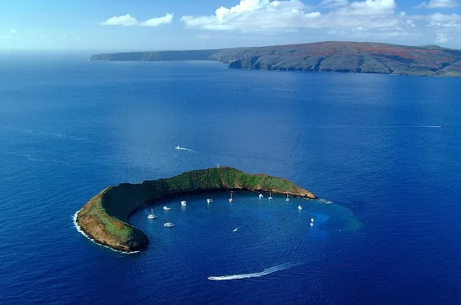 Crociera snorkeling a Molokini con Calypso