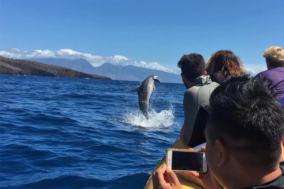Radeau écologique vers Lanai : snorkeling et dauphins
